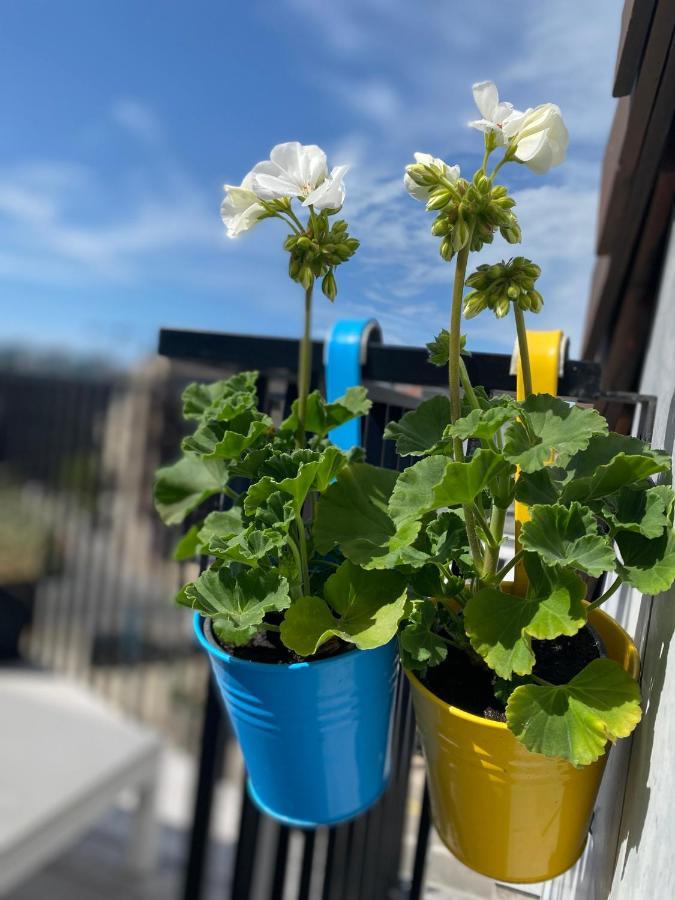 Apartament Coxy Penthouse Koksijde Zewnętrze zdjęcie
