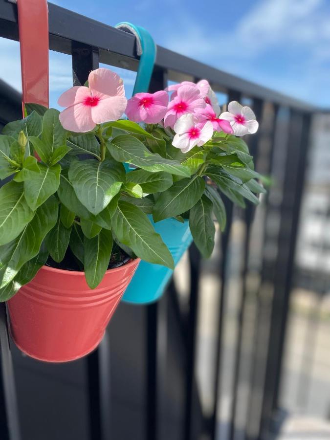 Apartament Coxy Penthouse Koksijde Zewnętrze zdjęcie